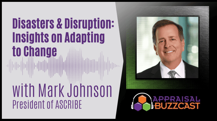 Disasters and Disruption: Insights on Adapting to Change. Interview with Mark Johnson